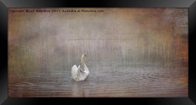 Swan Lake Framed Print by LIZ Alderdice