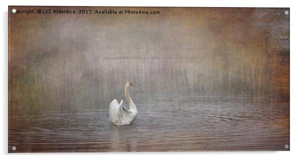 Swan Lake Acrylic by LIZ Alderdice
