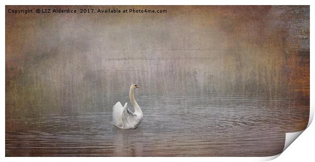 Swan Lake Print by LIZ Alderdice
