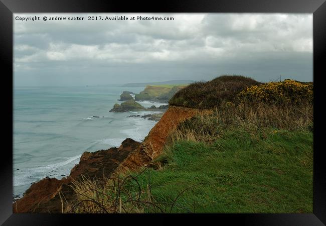 TOO CLOSE Framed Print by andrew saxton