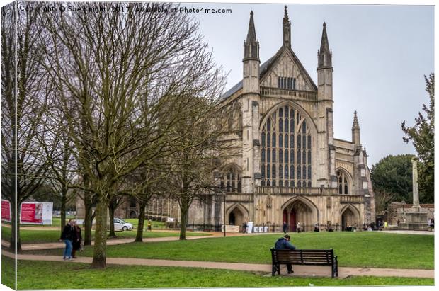 Winchester cathedral Canvas Print by Sue Knight