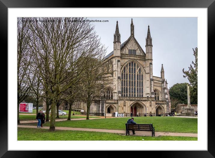 Winchester cathedral Framed Mounted Print by Sue Knight
