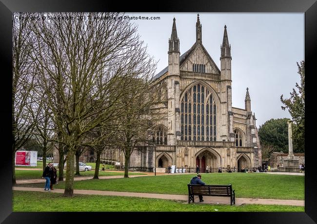 Winchester cathedral Framed Print by Sue Knight