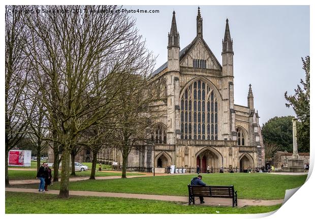 Winchester cathedral Print by Sue Knight