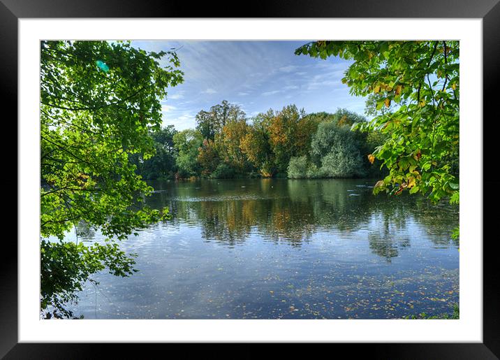 First signs of Autumn 2 Framed Mounted Print by Chris Day