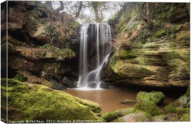 Roughting Linn, Northumberland Canvas Print by Phil Reay