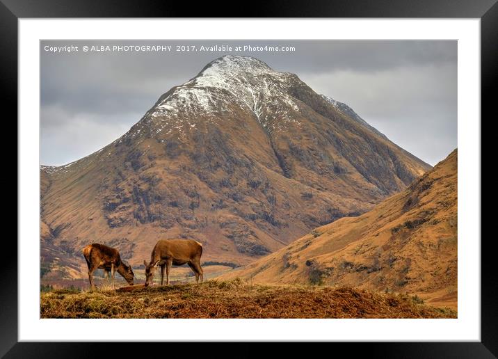 Glen Etive, Scotland. Framed Mounted Print by ALBA PHOTOGRAPHY