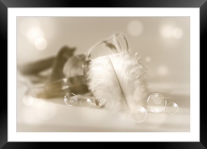 Feather light  Framed Mounted Print by Dagmar Giers