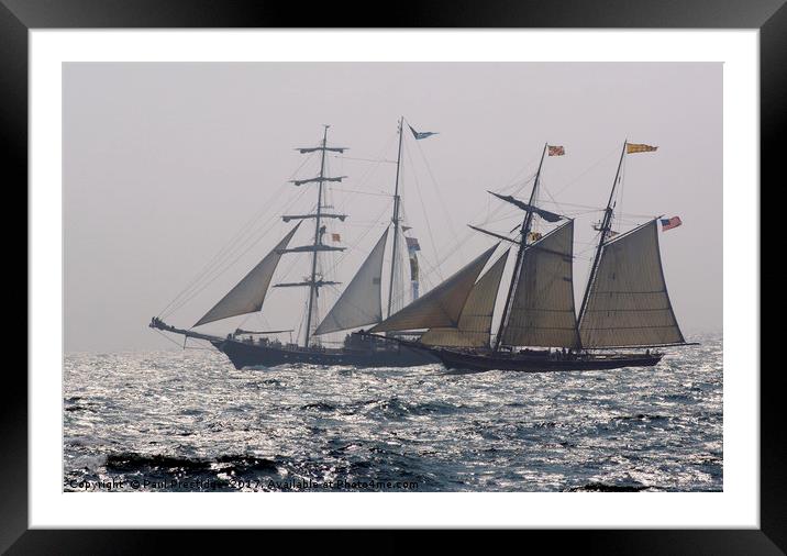 Tall Ships Thalassa and Pride of Baltimore Framed Mounted Print by Paul F Prestidge