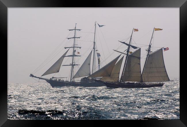 Tall Ships Thalassa and Pride of Baltimore Framed Print by Paul F Prestidge