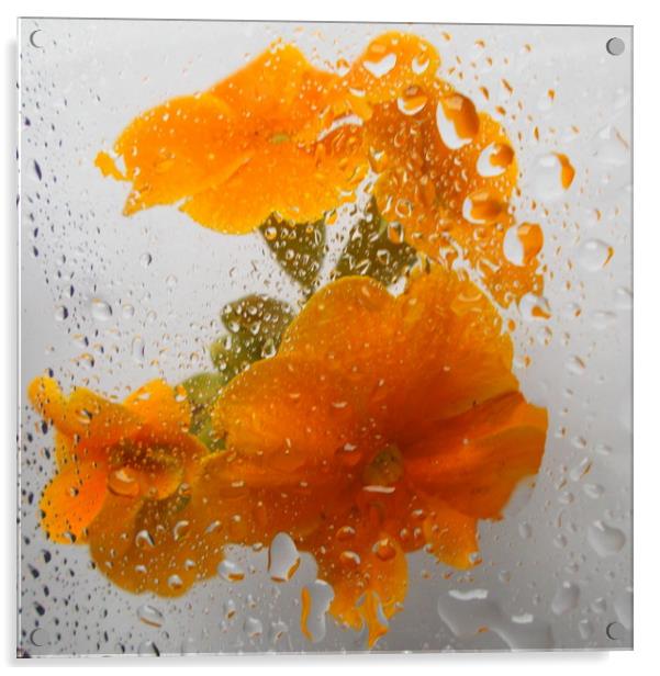 flora underwater  Acrylic by dale rys (LP)