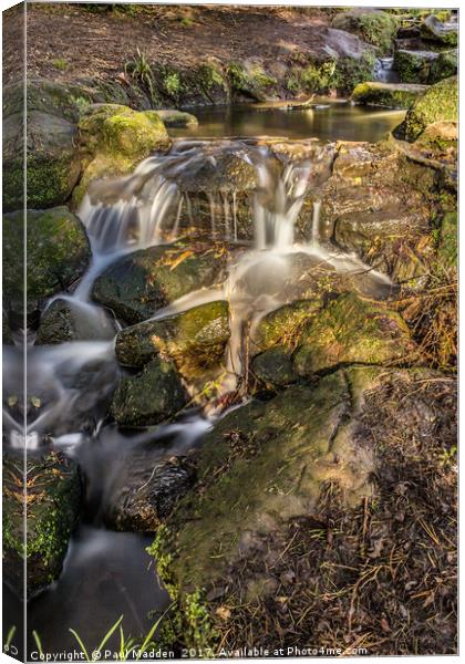 Sefton Park Waterfall Canvas Print by Paul Madden