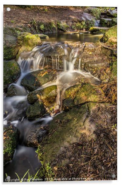 Sefton Park Waterfall Acrylic by Paul Madden
