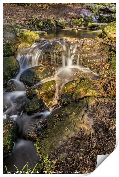 Sefton Park Waterfall Print by Paul Madden