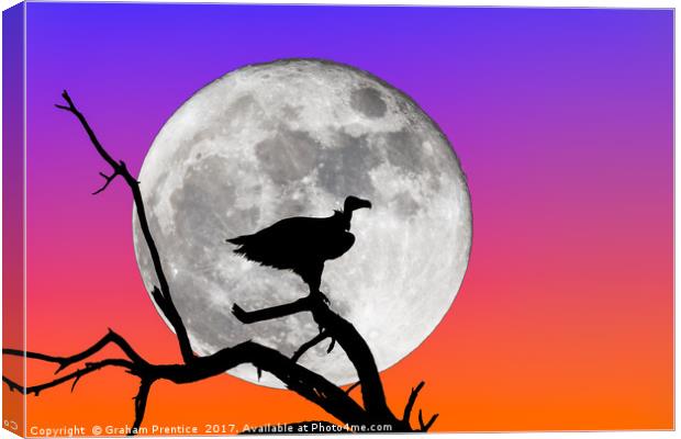 Vulture Silhouetted Against Supermoon Canvas Print by Graham Prentice