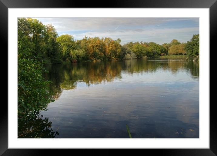 First signs of Autumn 3 Framed Mounted Print by Chris Day