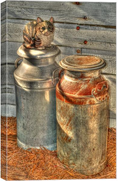 Cat and the Churns Canvas Print by Chris Thaxter