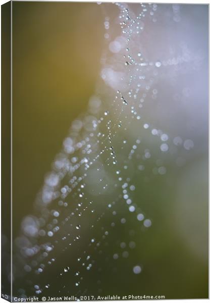 Looking through a damp cobweb Canvas Print by Jason Wells