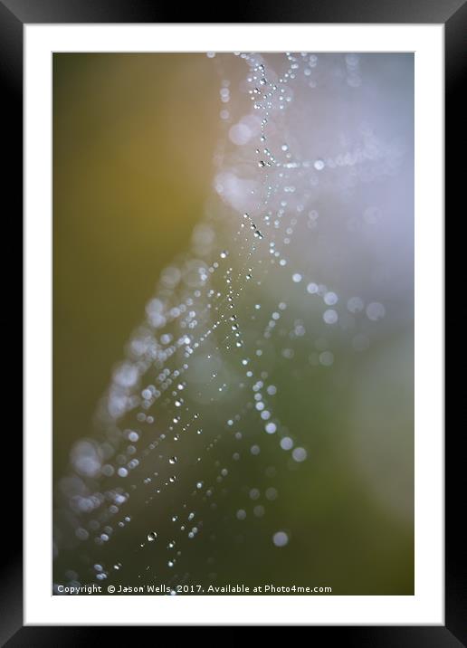 Looking through a damp cobweb Framed Mounted Print by Jason Wells