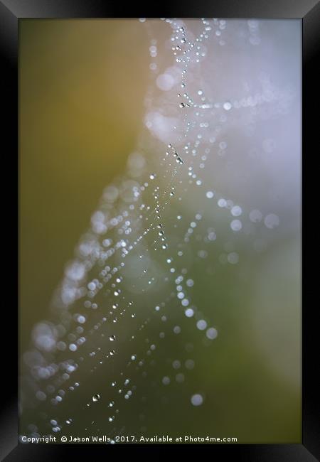 Looking through a damp cobweb Framed Print by Jason Wells