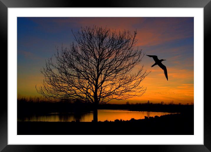 Mare fen Sunset  Framed Mounted Print by Stephanie Veronique
