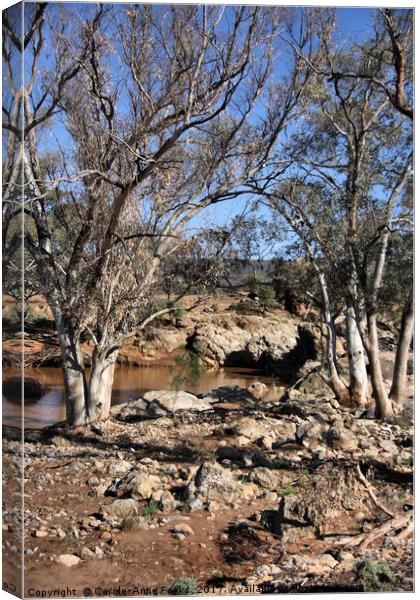 Kanyaka Waterhole Canvas Print by Carole-Anne Fooks