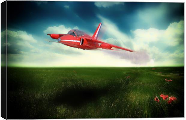 Red Gnat In low Canvas Print by J Biggadike