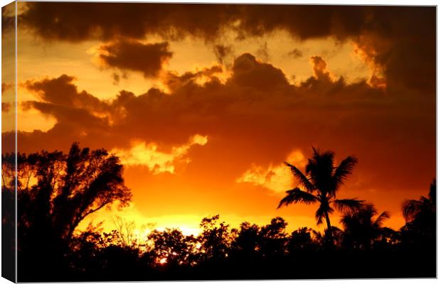 A Tropical Sunset  Canvas Print by Christiane Schulze