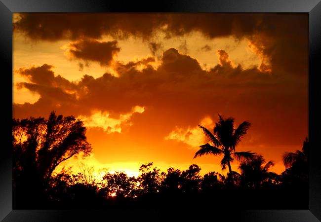 A Tropical Sunset  Framed Print by Christiane Schulze