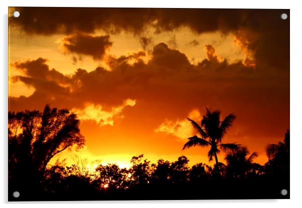 A Tropical Sunset  Acrylic by Christiane Schulze
