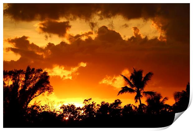 A Tropical Sunset  Print by Christiane Schulze
