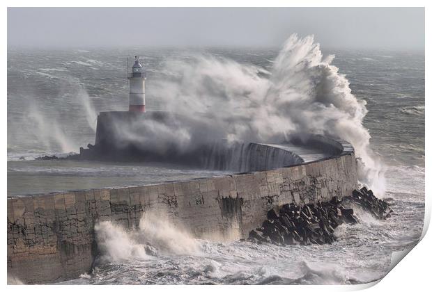 Newhaven Lighthouse Print by Ian Hufton