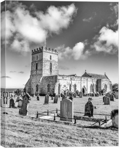 Portrait of St Aidans in Mono Canvas Print by Naylor's Photography