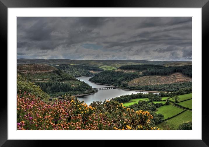 Garreg Ddu, Elan Valle from the Gorse covered hill Framed Mounted Print by Sorcha Lewis