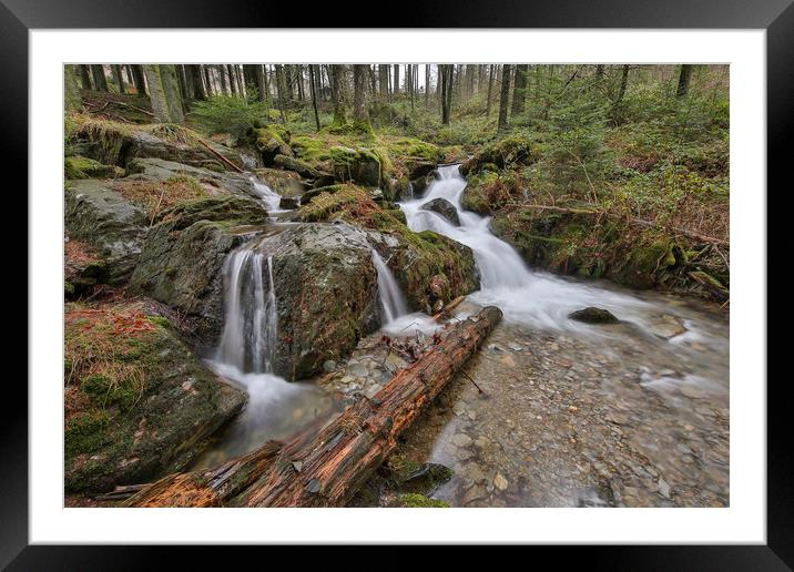 Welsh Celtic rainforest Water Falls Framed Mounted Print by Sorcha Lewis