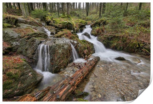 Welsh Celtic rainforest Water Falls Print by Sorcha Lewis