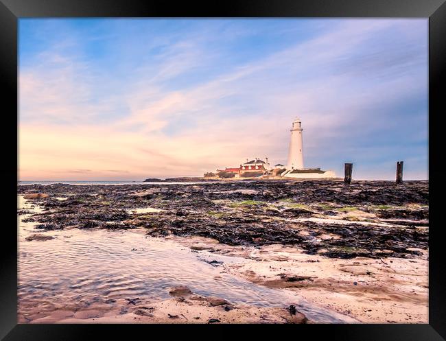 St Marys protecting our coast Framed Print by Naylor's Photography