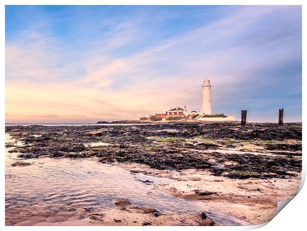 St Marys protecting our coast Print by Naylor's Photography