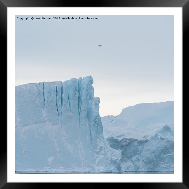 Kangia Iceberg Framed Mounted Print by Janet Burdon