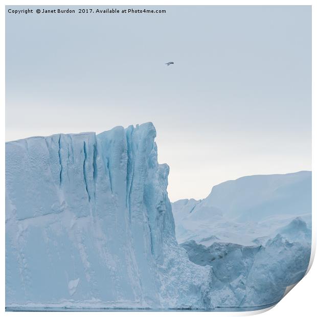 Kangia Iceberg Print by Janet Burdon