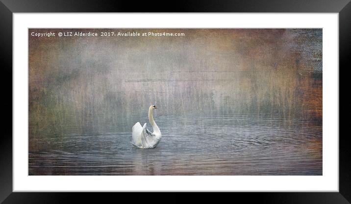Swan Lake version 2 Framed Mounted Print by LIZ Alderdice