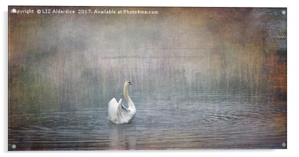 Swan Lake version 2 Acrylic by LIZ Alderdice