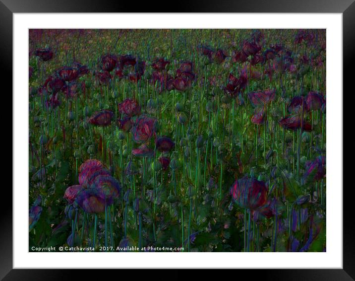 Poppy Meadow Framed Mounted Print by Catchavista 