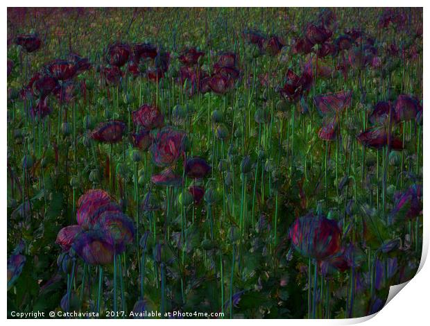 Poppy Meadow Print by Catchavista 