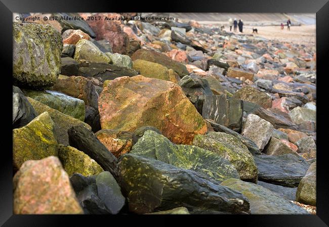 Rocks at The Beach Framed Print by LIZ Alderdice