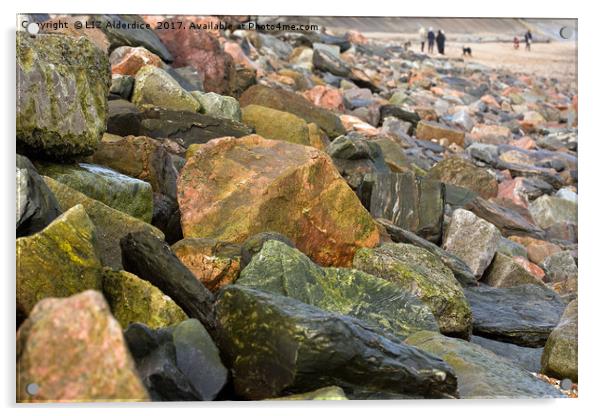 Rocks at The Beach Acrylic by LIZ Alderdice