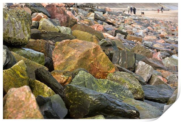 Rocks at The Beach Print by LIZ Alderdice