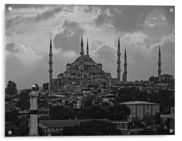 The Blue Mosque, Istanbul - B&W Acrylic by Tom Gomez