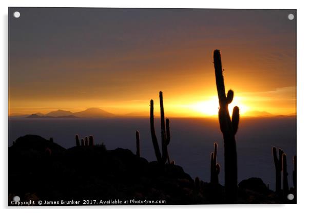 Cacti Silhouettes Incahuasi Island Salar de Uyuni Acrylic by James Brunker