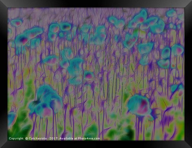 Enchanted Blue Poppy Field Framed Print by Catchavista 